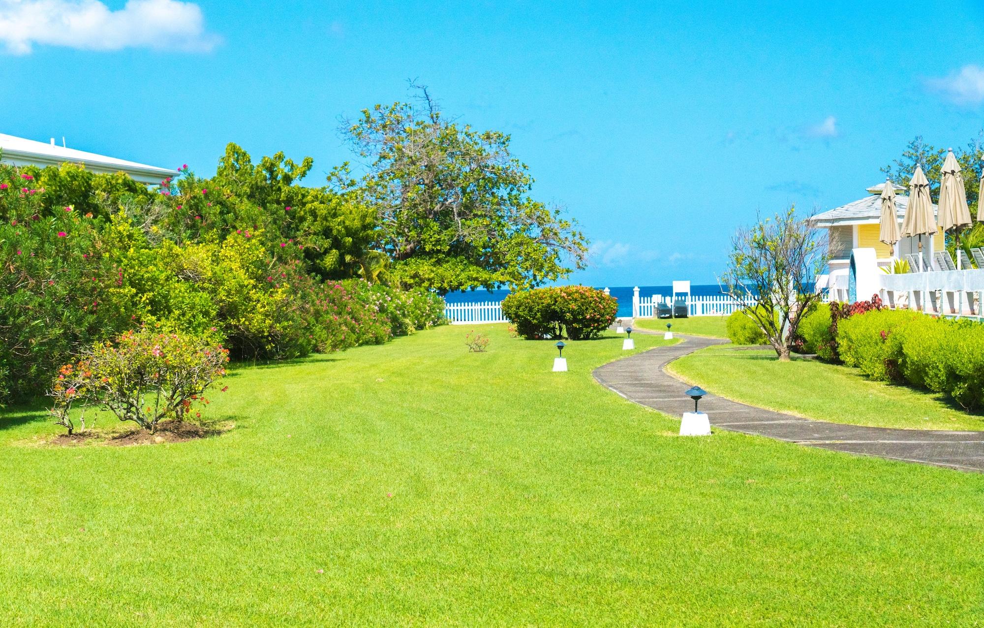 Allamanda Beach Resort Grand Anse Exterior foto